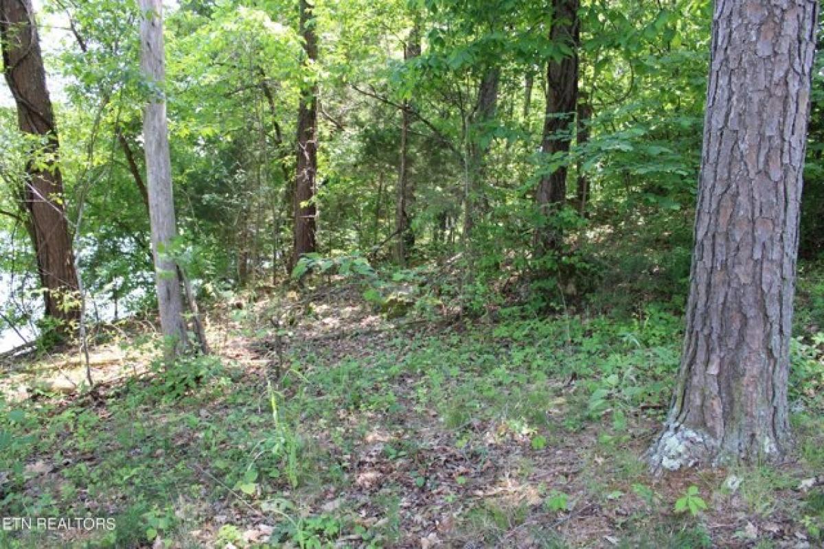 Picture of Residential Land For Sale in Speedwell, Tennessee, United States