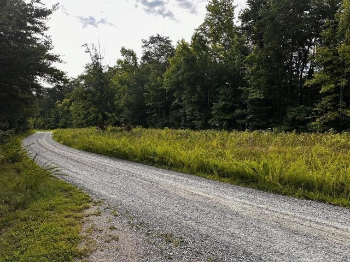 Picture of Residential Land For Sale in Dry Fork, Virginia, United States