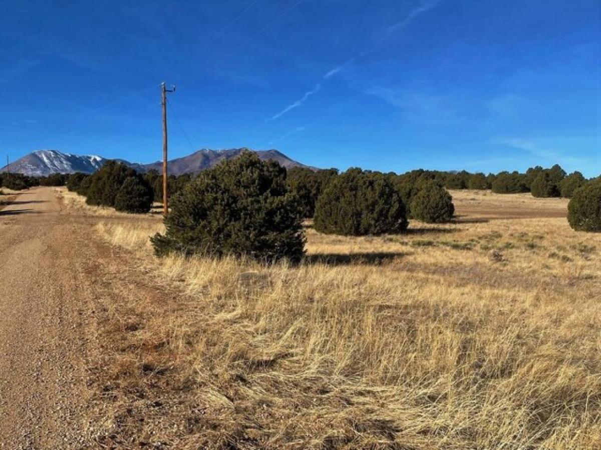 Picture of Residential Land For Sale in Walsenburg, Colorado, United States