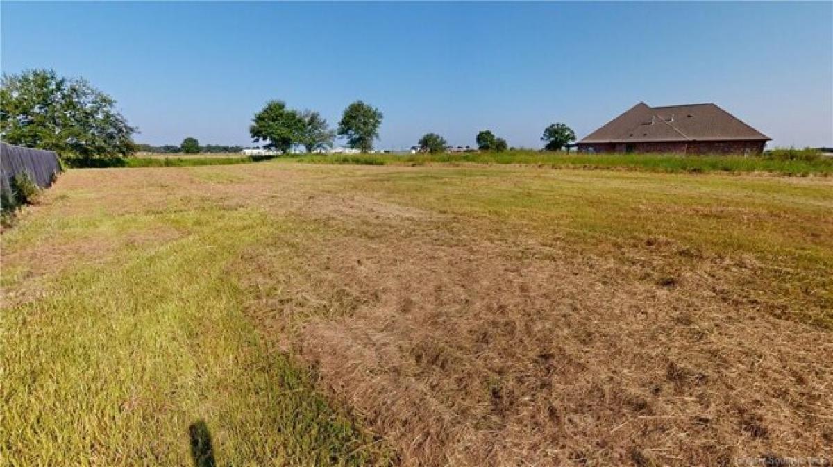 Picture of Residential Land For Sale in Iowa, Louisiana, United States