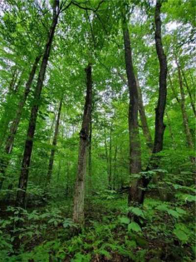 Residential Land For Sale in Otego, New York