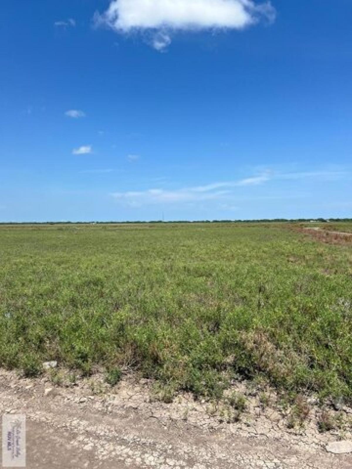 Picture of Residential Land For Sale in Los Fresnos, Texas, United States