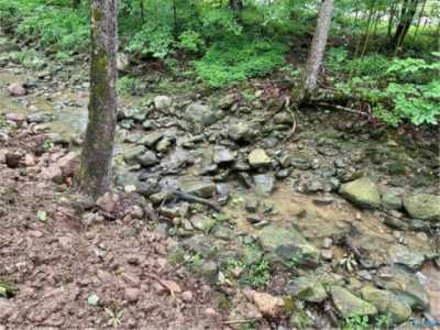 Residential Land For Sale in Gurley, Alabama