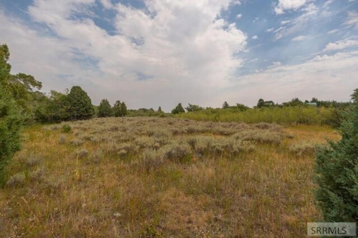 Picture of Residential Land For Sale in Chester, Idaho, United States