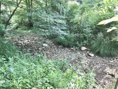 Residential Land For Sale in Olive Hill, Kentucky