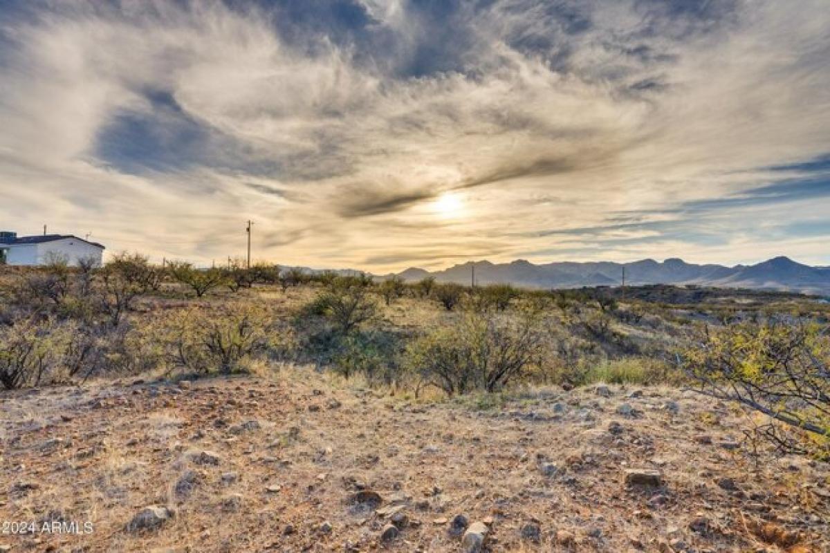 Picture of Residential Land For Sale in Rio Rico, Arizona, United States