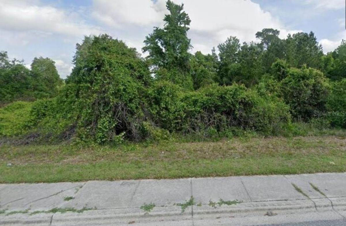 Picture of Residential Land For Sale in Crescent City, Florida, United States