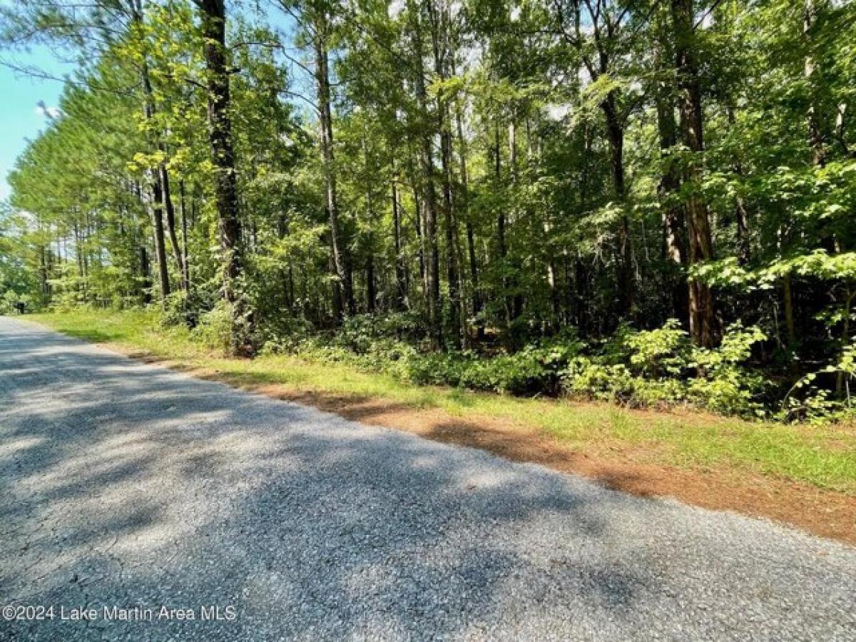 Picture of Residential Land For Sale in Alexander City, Alabama, United States