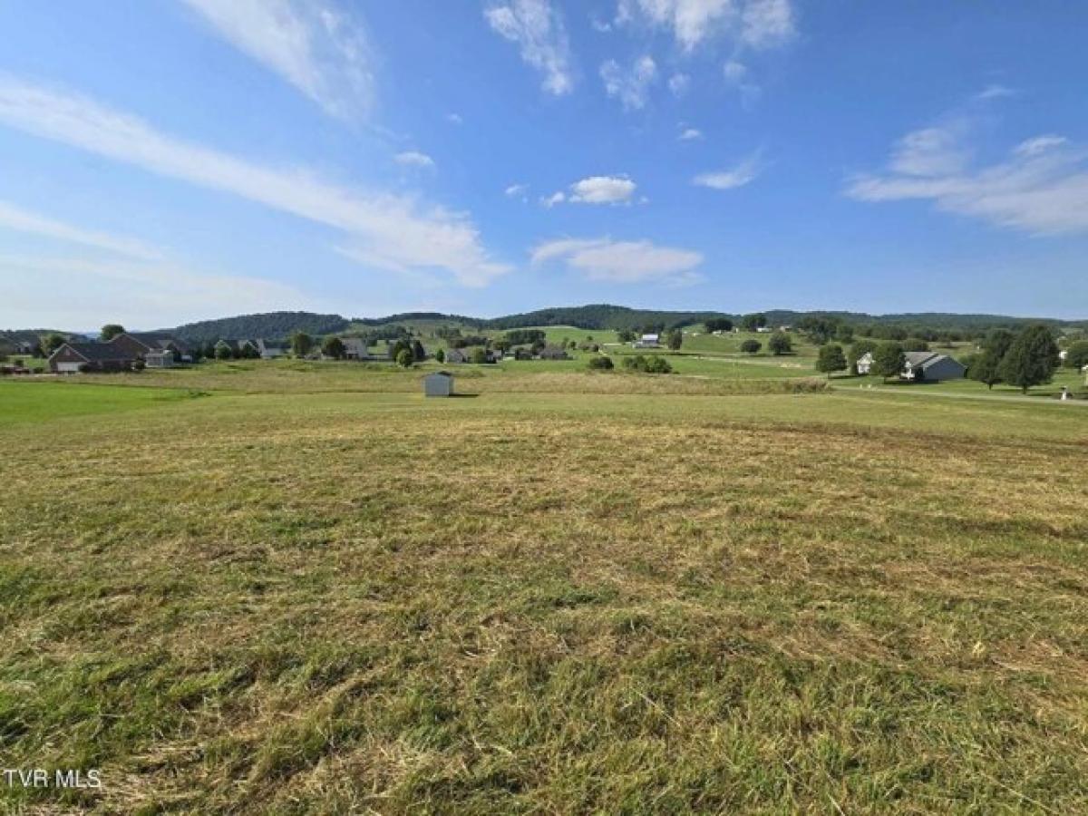 Picture of Residential Land For Sale in Bristol, Virginia, United States