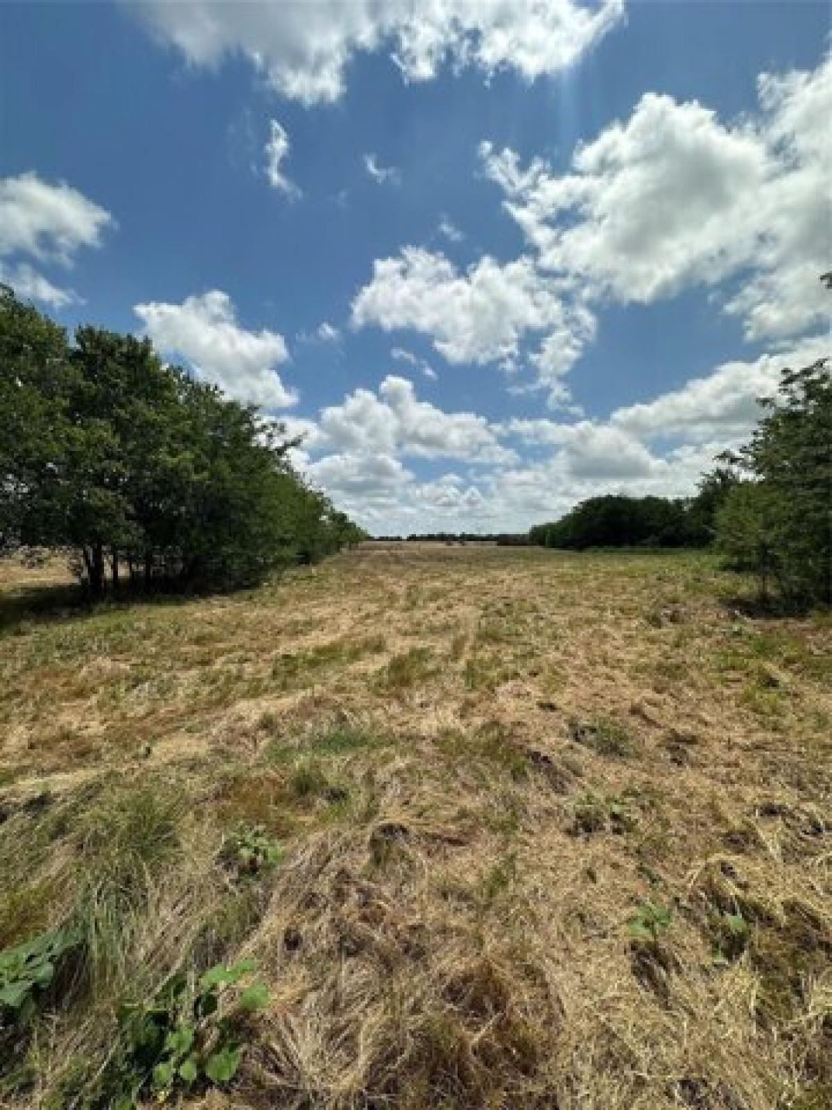 Picture of Residential Land For Sale in Greenville, Texas, United States