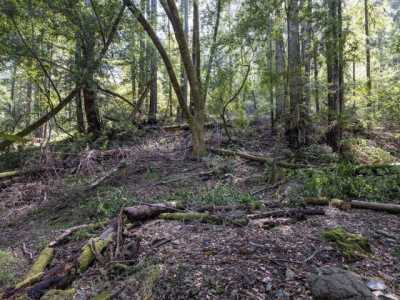 Residential Land For Sale in San Geronimo, California