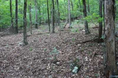 Residential Land For Sale in Owens Cross Roads, Alabama