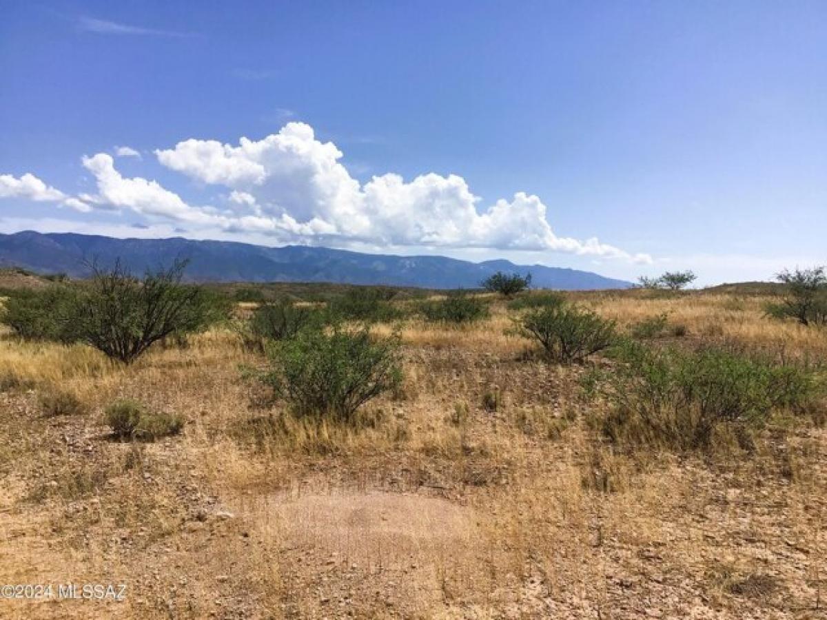 Picture of Residential Land For Sale in Willcox, Arizona, United States