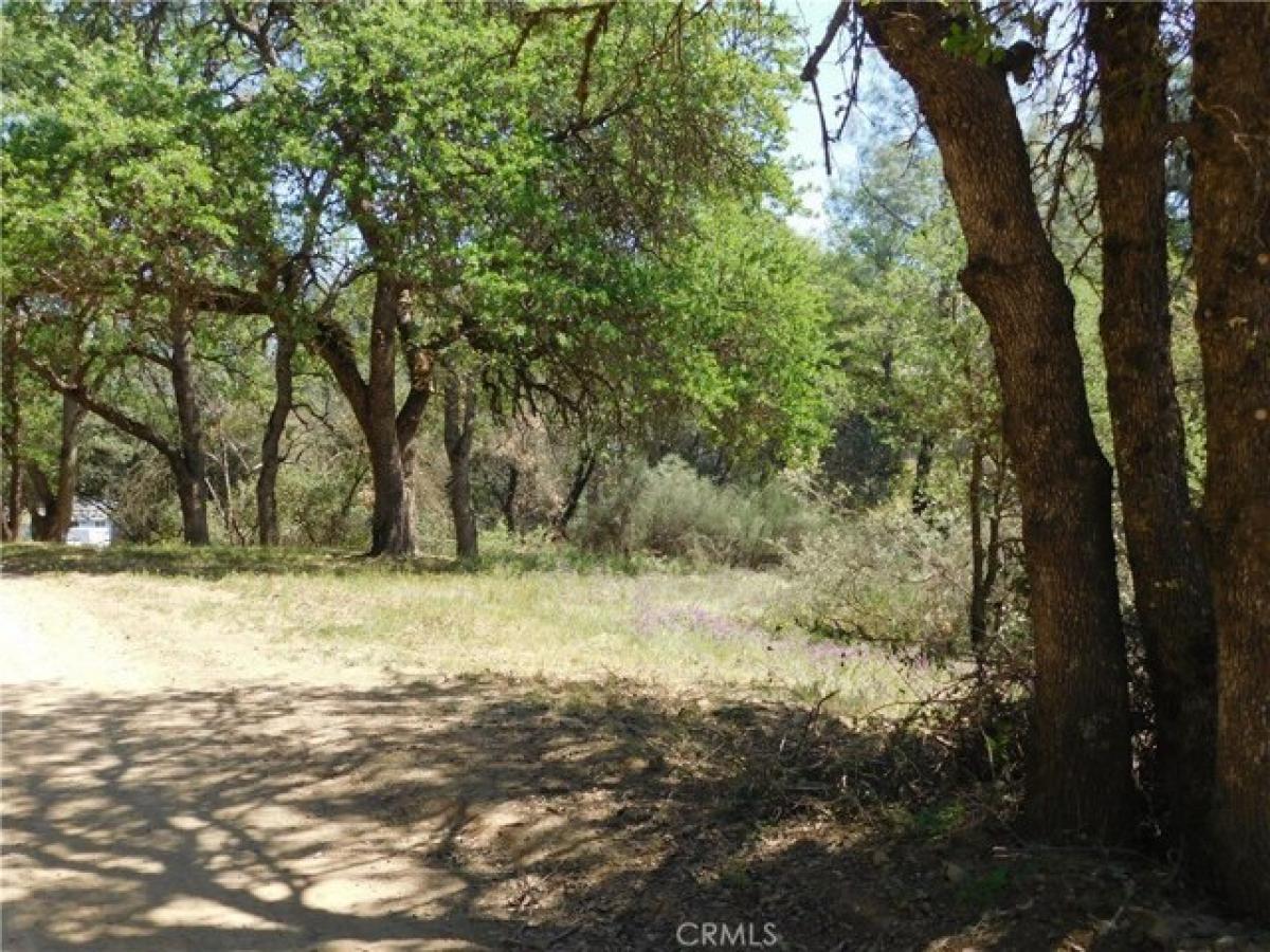 Picture of Residential Land For Sale in Clearlake, California, United States