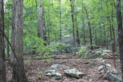 Residential Land For Sale in Owens Cross Roads, Alabama