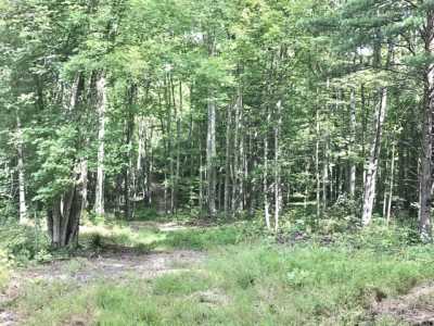 Residential Land For Sale in Olive Hill, Kentucky