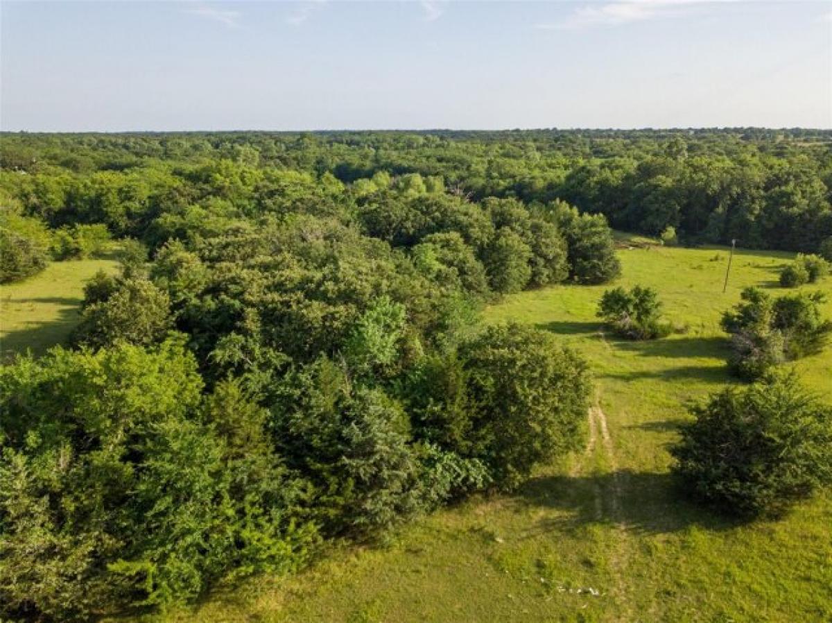 Picture of Residential Land For Sale in Dodd City, Texas, United States