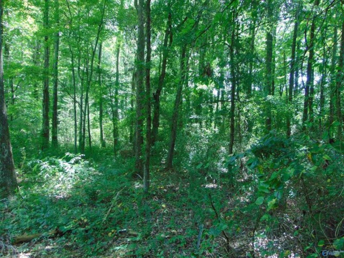 Picture of Residential Land For Sale in Toney, Alabama, United States