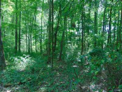 Residential Land For Sale in Toney, Alabama