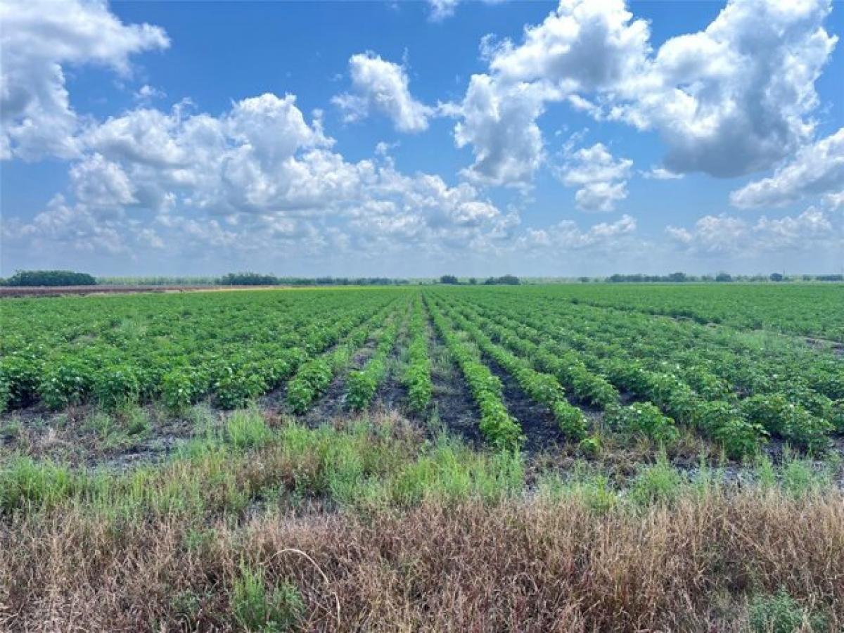 Picture of Residential Land For Sale in Damon, Texas, United States