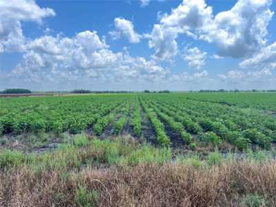 Residential Land For Sale in Damon, Texas