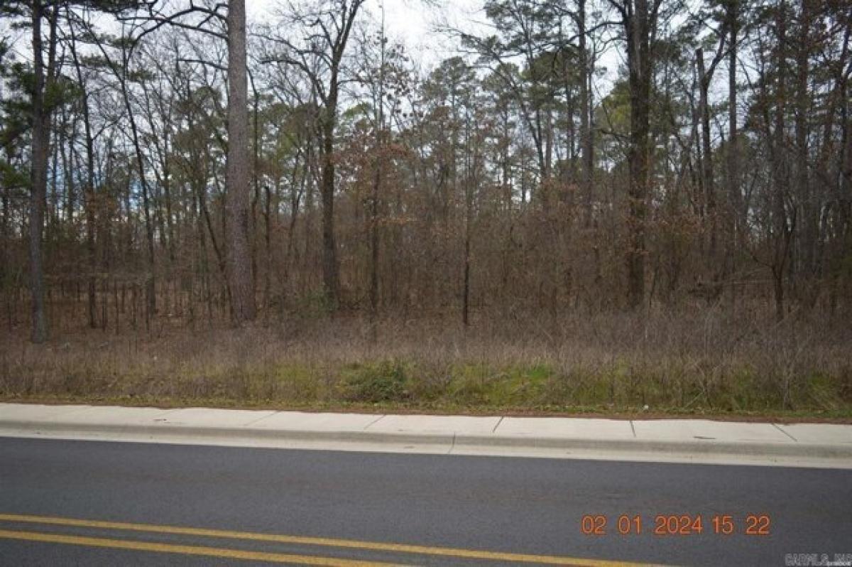 Picture of Residential Land For Sale in Hot Springs, Arkansas, United States