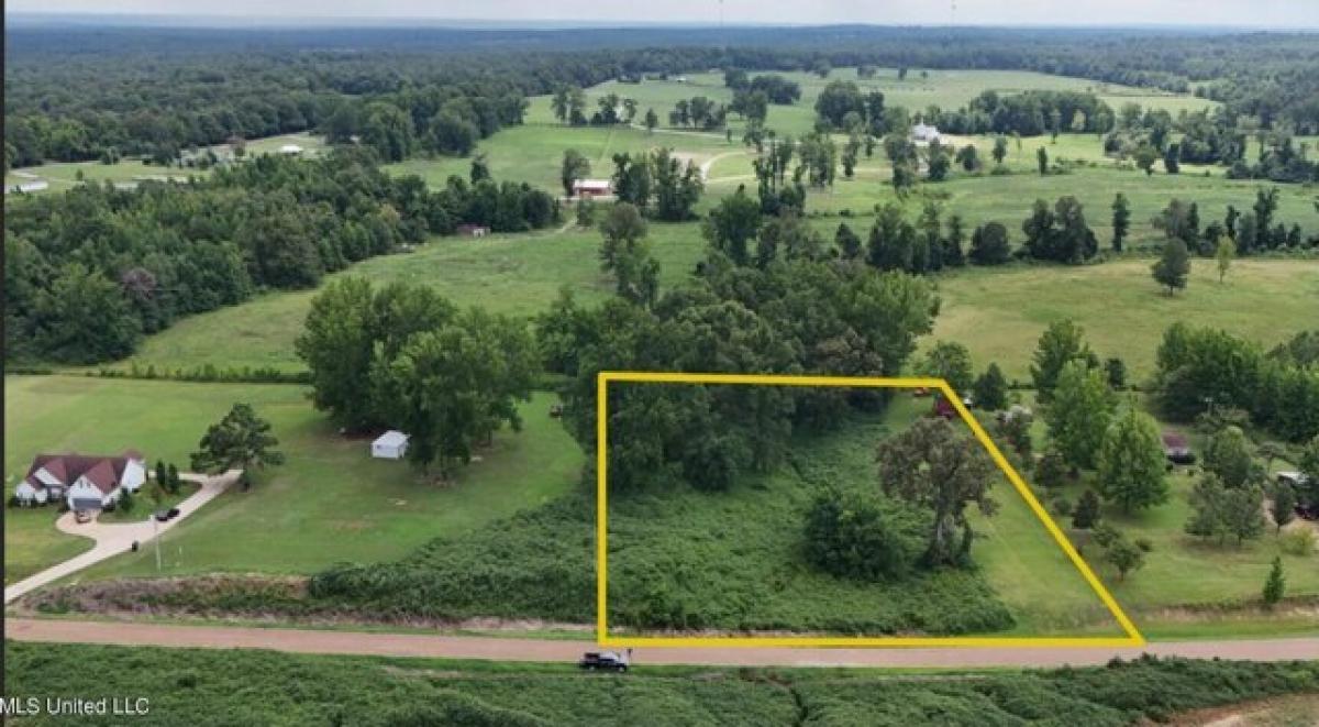 Picture of Residential Land For Sale in Holly Springs, Mississippi, United States