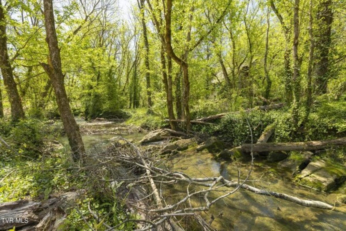 Picture of Residential Land For Sale in Greeneville, Tennessee, United States