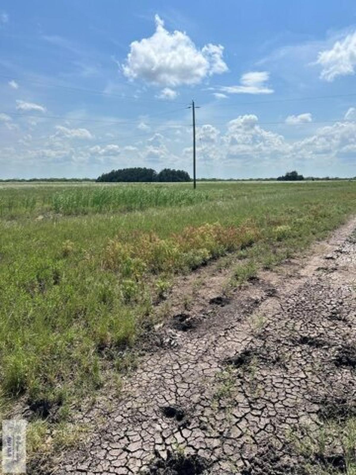 Picture of Residential Land For Sale in Los Fresnos, Texas, United States