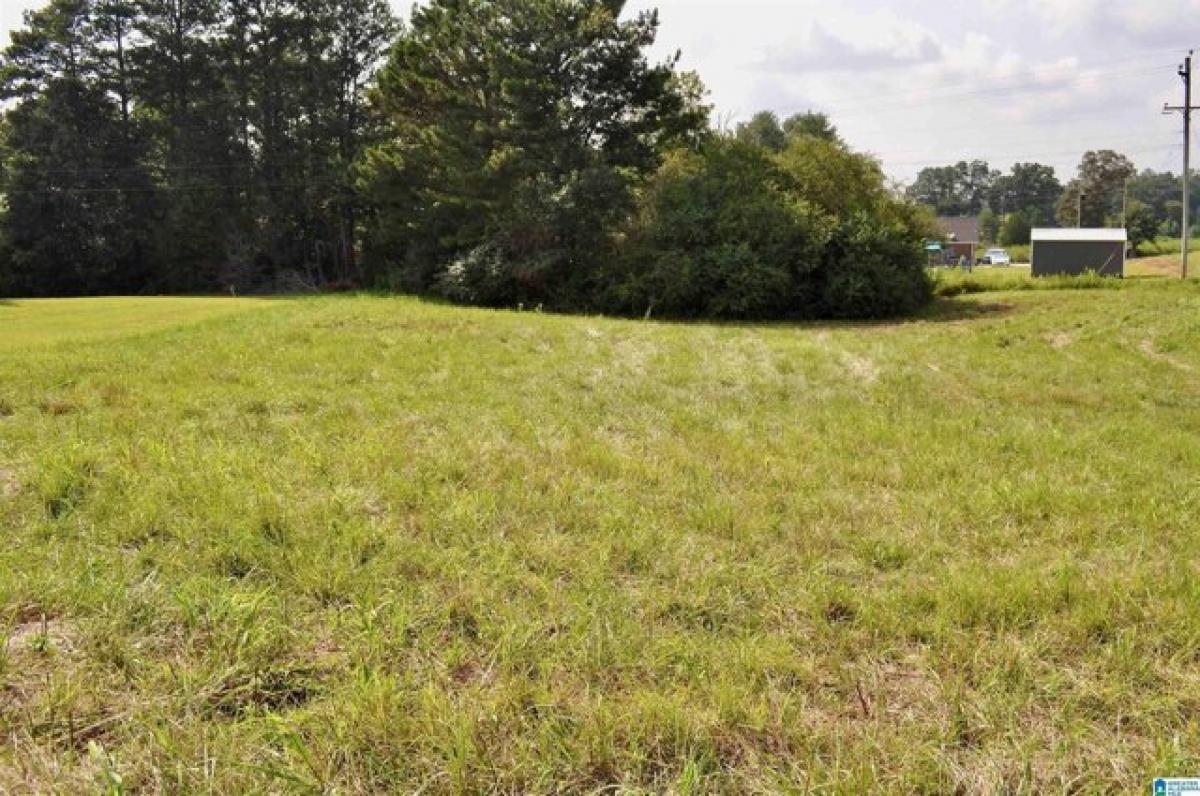 Picture of Residential Land For Sale in Cullman, Alabama, United States