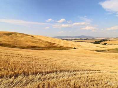 Residential Land For Sale in Moscow, Idaho