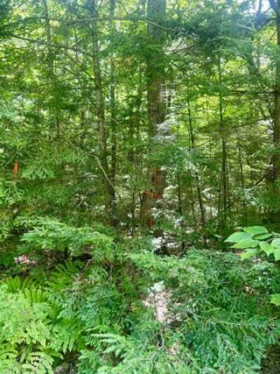 Residential Land For Sale in Casco, Maine