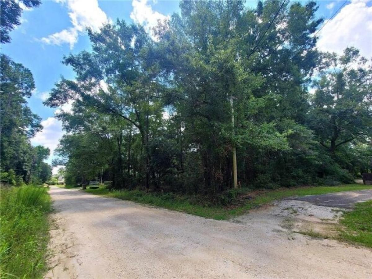 Picture of Residential Land For Sale in Theodore, Alabama, United States