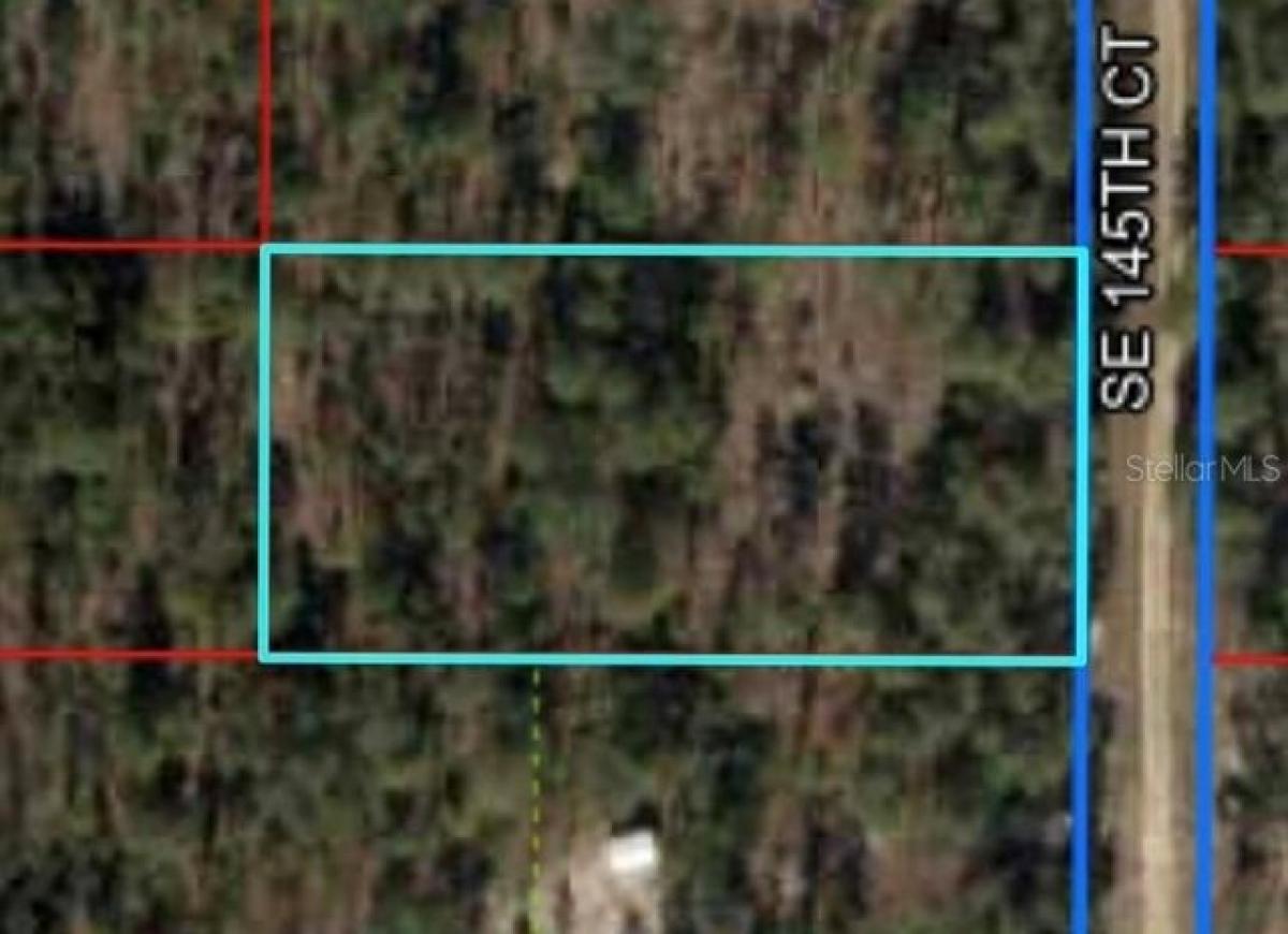 Picture of Residential Land For Sale in Williston, Florida, United States