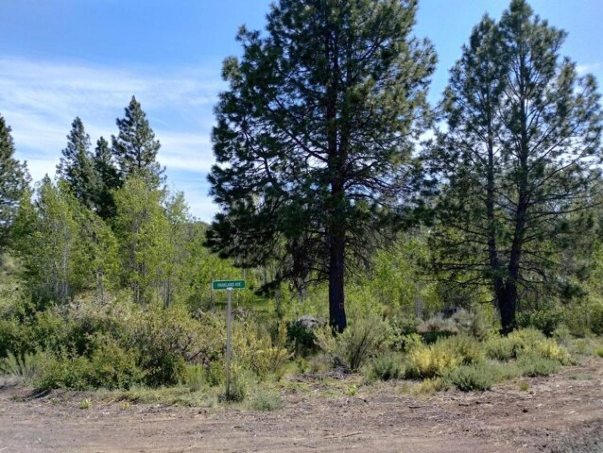 Picture of Residential Land For Sale in Chiloquin, Oregon, United States