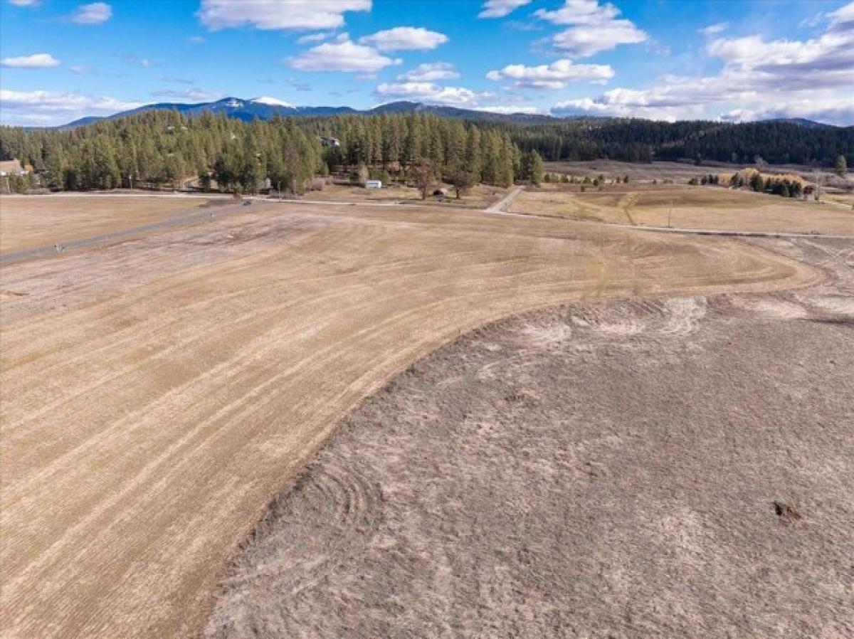 Picture of Residential Land For Sale in Colbert, Washington, United States