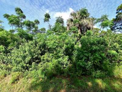 Residential Land For Sale in Fort Pierce, Florida