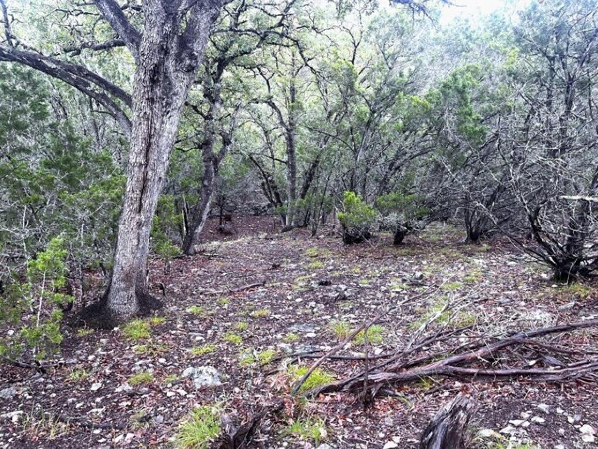 Picture of Residential Land For Sale in Leakey, Texas, United States