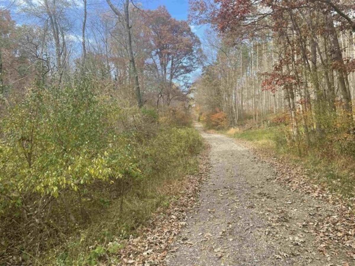 Picture of Residential Land For Sale in Bruceton Mills, West Virginia, United States