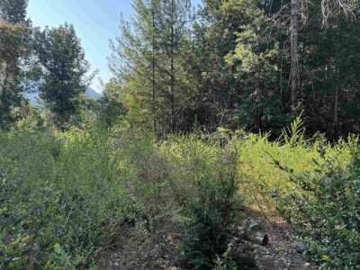 Residential Land For Sale in Crescent City, California