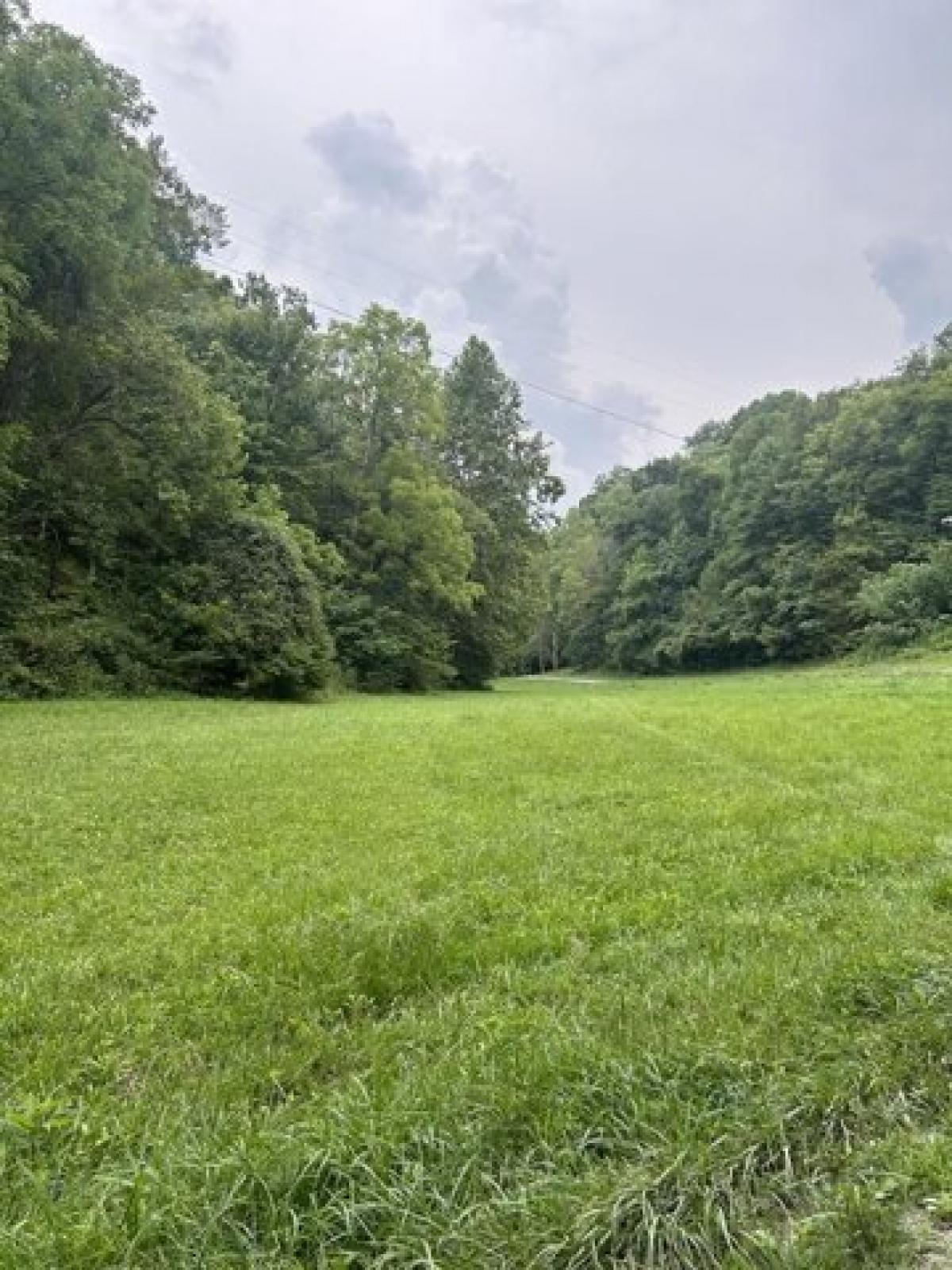 Picture of Residential Land For Sale in Byrdstown, Tennessee, United States