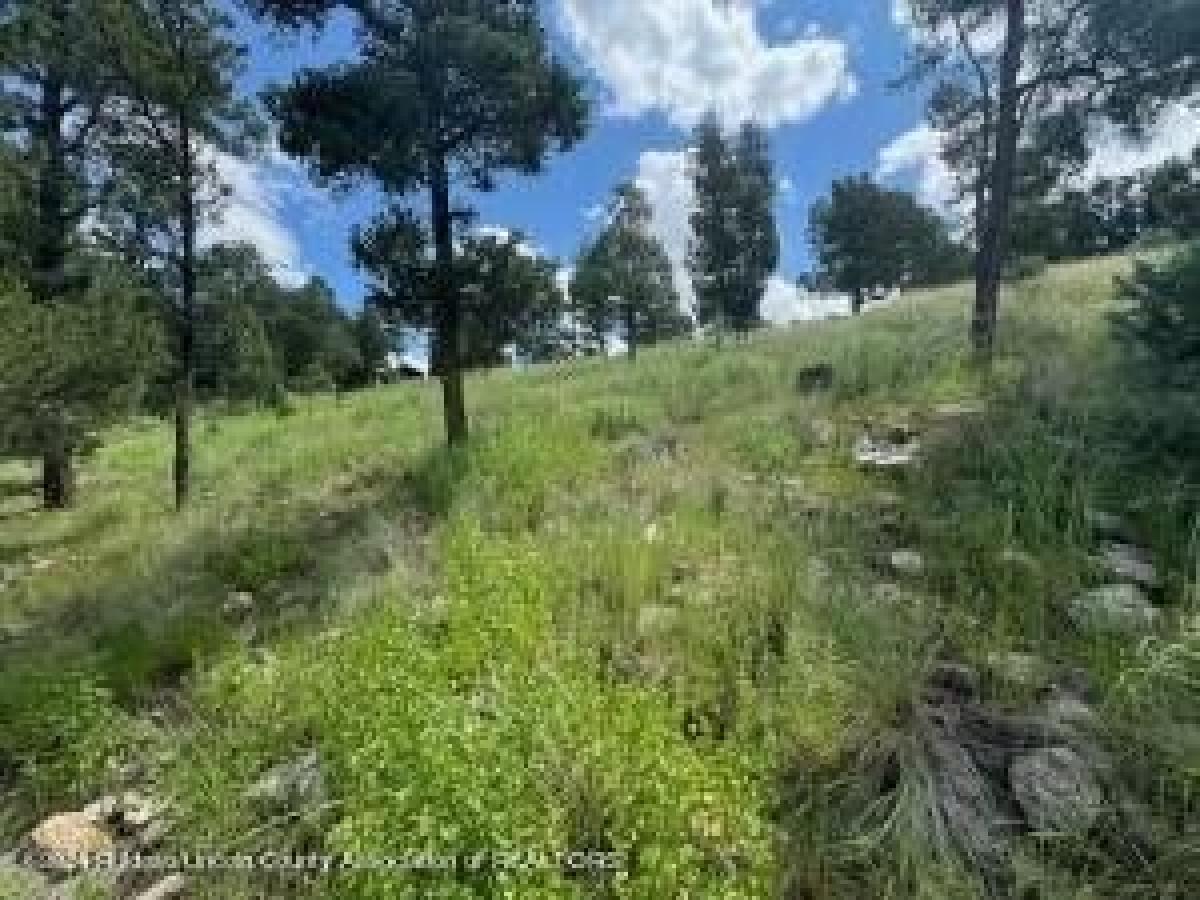 Picture of Residential Land For Sale in Alto, New Mexico, United States