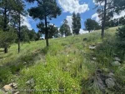 Residential Land For Sale in Alto, New Mexico