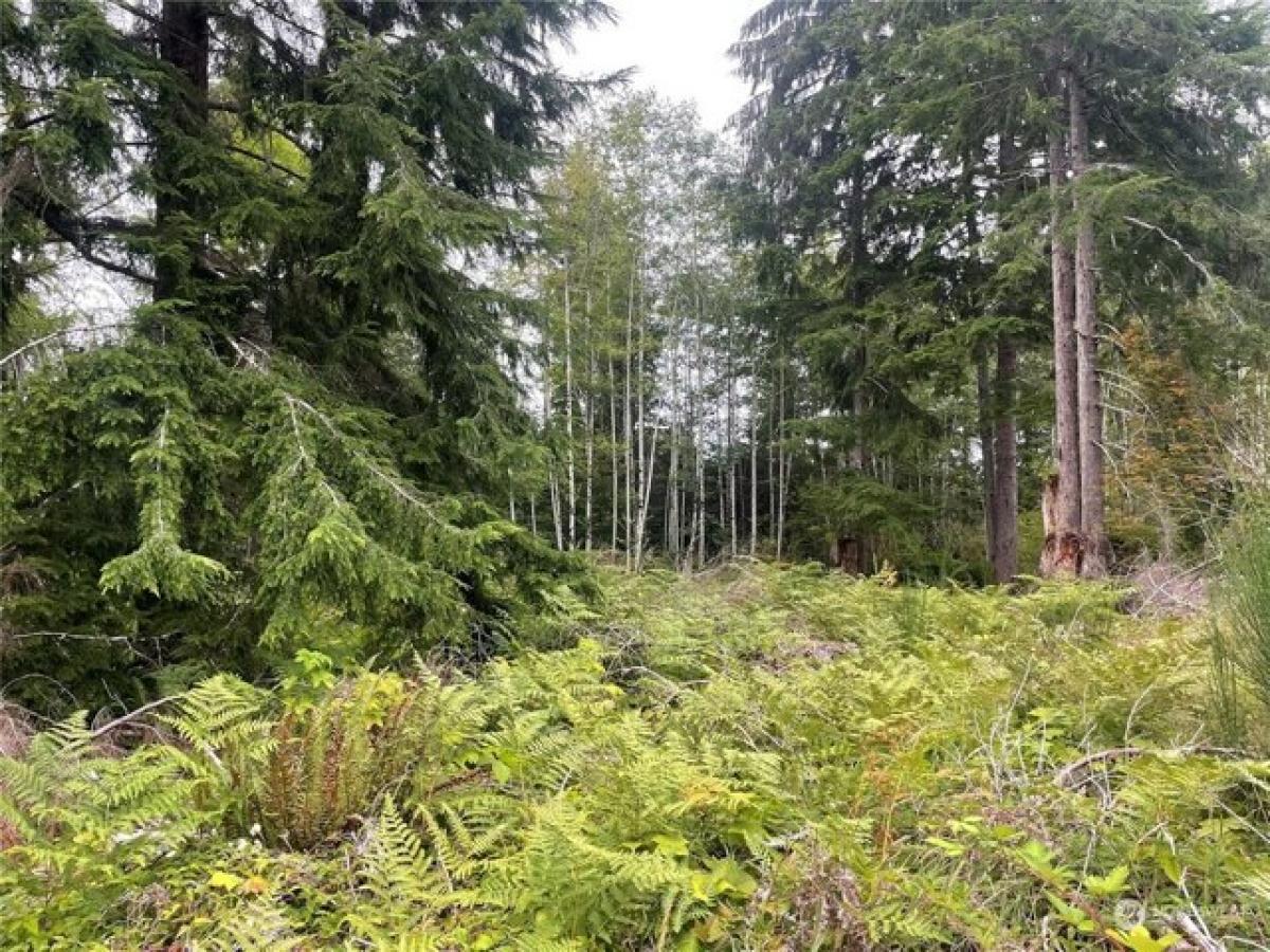 Picture of Residential Land For Sale in Forks, Washington, United States