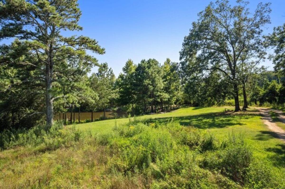 Picture of Residential Land For Sale in Vinemont, Alabama, United States