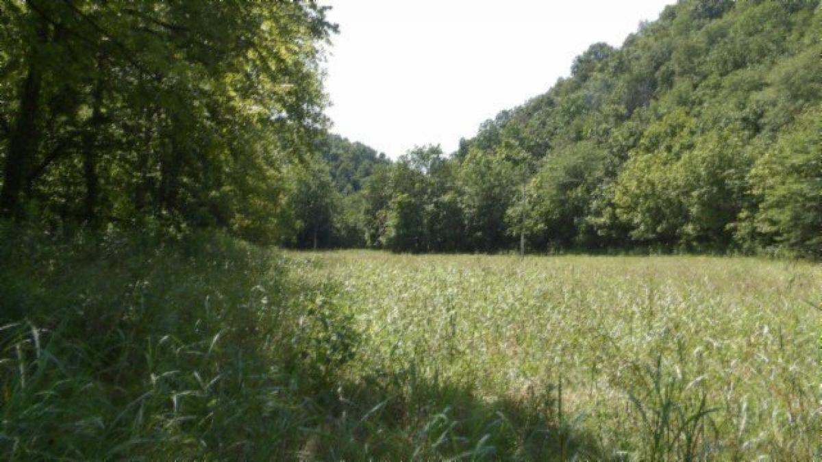 Picture of Residential Land For Sale in Moss, Tennessee, United States