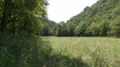 Residential Land For Sale in Moss, Tennessee