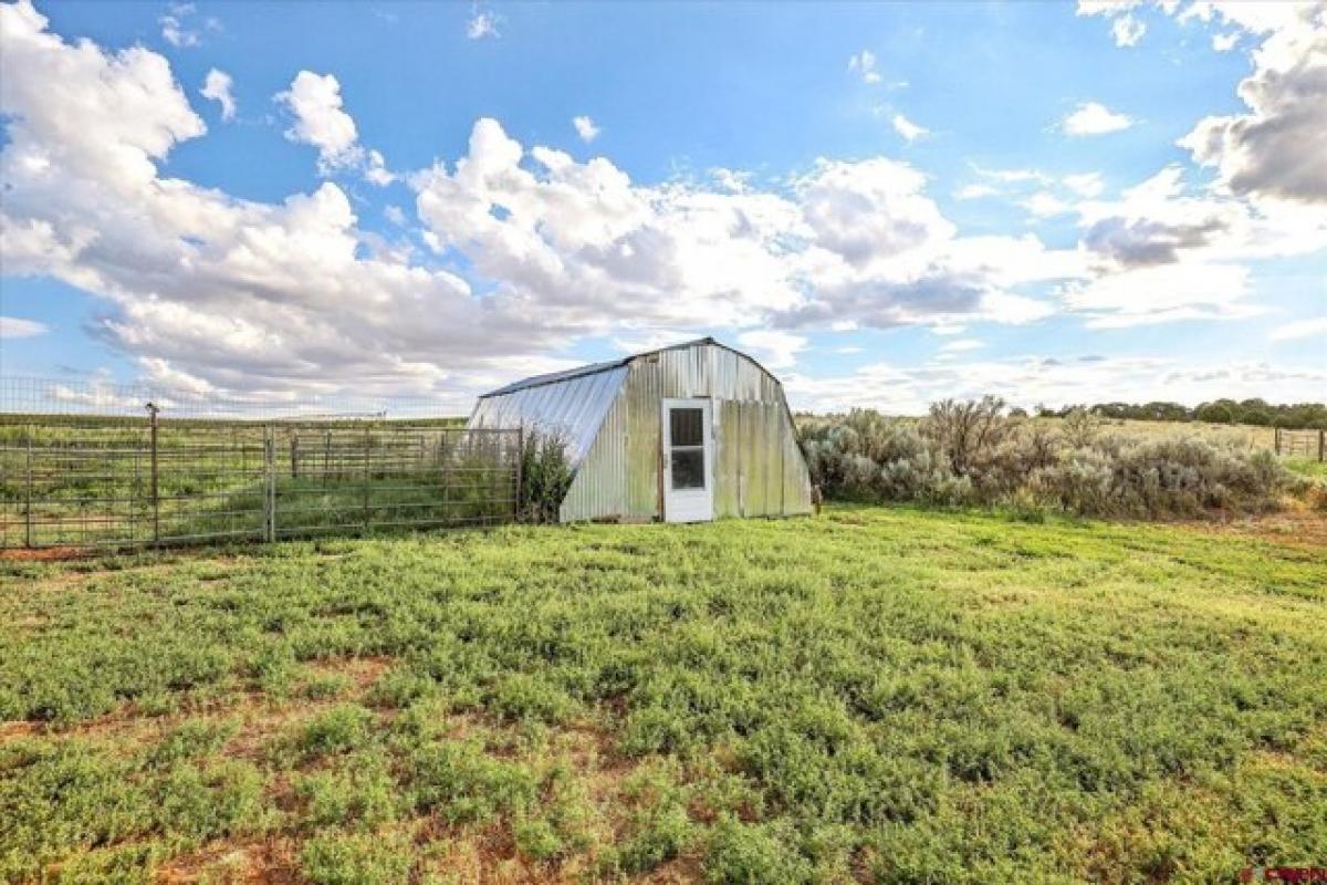 Picture of Home For Sale in Cahone, Colorado, United States