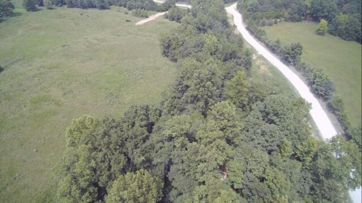 Picture of Residential Land For Sale in Fordland, Missouri, United States