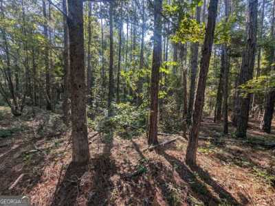 Residential Land For Sale in Twin City, Georgia